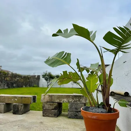 Casa Familia Acoriana * فيلا فرانكا دو كامبو