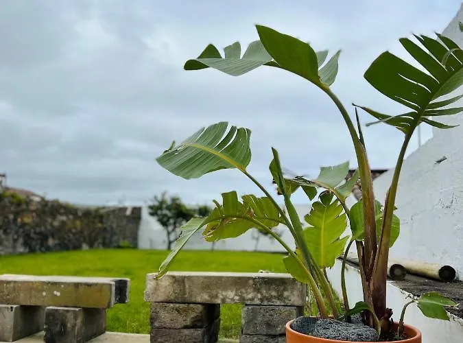 Casa Familia Acoriana * فيلا فرانكا دو كامبو